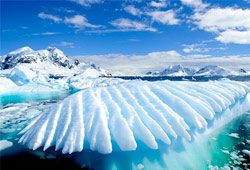 antarctica