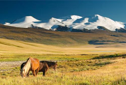 mongolia